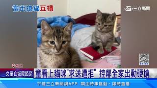 小孩想養大人當街搶貓　泰籍飼主怒提告｜三立新聞網 SETN.com