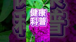 心肌缺血別焦慮，教你一個小方法！ #心臟病 #心腦血管 #健康 #科普 #養生 #养生 #生活 #中國醫 #中药 #養老生活 #保健 #調理 #老人 #老年 #中医 #知識 #運動 #中醫 #經驗