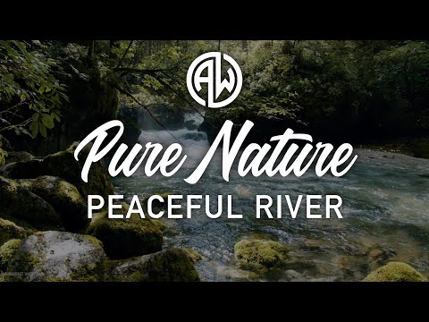 🎧 Peaceful Forest River | Beautiful 4K Nature Scene with Relaxing Ambience