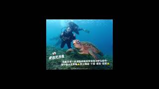 潮嚮海洋 113教師社群成果影片