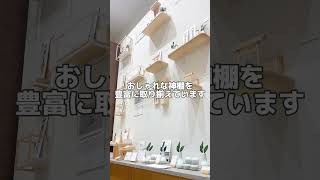 最近よく聞く「モダン神棚」って何？