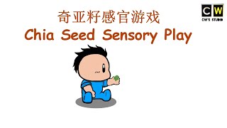奇亚籽感官游戏 Chia Seed Sensory Play