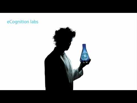 eCognition 8: 3D Image Analysis