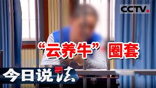 《今日说法》理财到期 钱却变成牛肉？上海多人深陷"云养牛"骗局！20250515 | CCTV今日说法官方频道