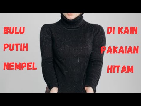 Cara Menghilangkan Bulu Putih Di Baju Hitam