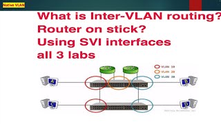 CCNA day 24 Phase#2 Native vlan explained in detailed with wireshark analysis | LAN Technologies