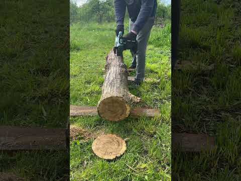 Розпилюю колоду вздовж електропилою / Slabbing a Log with an Electric Chainsaw 🌲⚡ #тихастежка