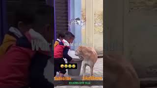 #worldofanimals #subscribe #shorts #viral #trending #viralshorts