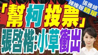 蔡正元:小草投票率超過7成以上 藍營要感謝白軍支持｜柯文哲聲請投票遭駁 激發小草出草 ｜蔡正元.張啓楷.陳玉珍.謝寒冰深度剖析?【張雅婷辣晚報】精華版 @中天新聞CtiNews