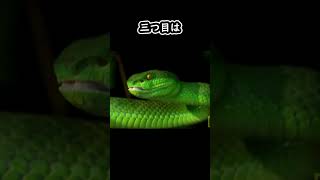 ベトナム戦争で使われたトラップ