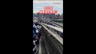 【台北橋機車瀑布】三蘆→台北天天塞爆！不遲到的都遲到了 #Shorts