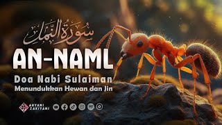 Surat AN-NAML Al-Qur'an Full Merdu Doa Nabi Sulaiman Untuk Hewan, Mengusir Semut dan Mengusir Jin