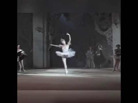 めっちゃ軽やか　めっちゃ早い　【バレエ】【ballet】