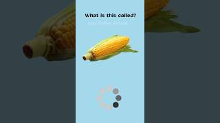 English Vocabulary #englishvocabulary #englishvocabularyforbeginners #englishwords #shorts