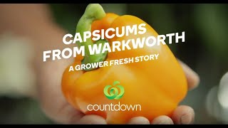 Capsicums from Warkworth | Grower Fresh | Countdown