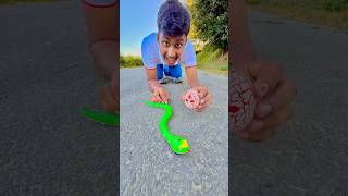 16 Inch Remote Control Rattle Snake #rcsnake #ruhulshorts