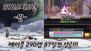 290스피드런 완...메이플 290레벨까지 3달?! (77~87일차 재획일지)