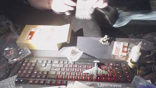 unboxing dust tactics steelguard