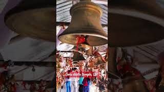 Wish/Bell Temple of India - Chittai Golu Devta temple, Almora! #almora #bells #uttarakhand #temple