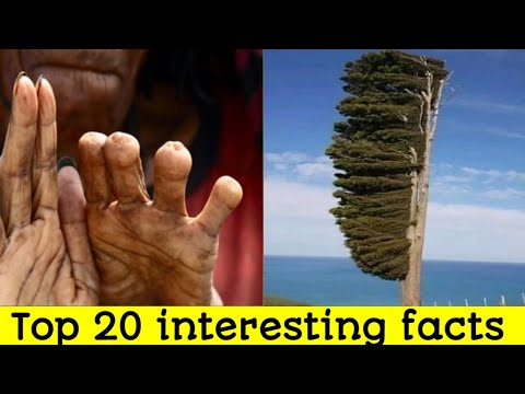 20 interesting Facts In Telugu | facts in telugu interesting | 20 Telugu Facts new | Unknown facts