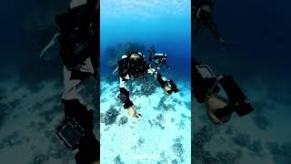 25030CAE EB2B 4156 827F FEF16B796662
