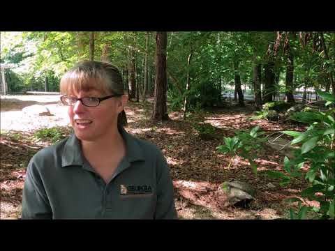 Kim Morris Zarneke, Ga DNR, Wildlife Resources Division