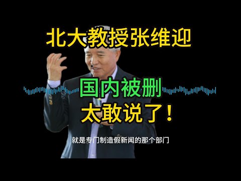 张维迎教授对腐败的批评，太敢说了！【兔子看世界】