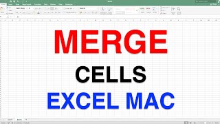 How to Merge Cells in Excel [ MAC ]