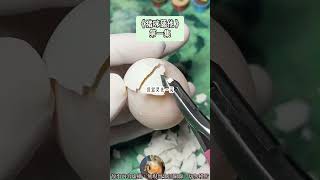 《舔他是假，搞他是真》甜甜爽文。好男人是不流通的，老公要從小抓起！完結嚕。#爽文 #小說 #一口氣看完