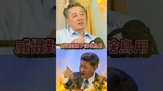 純靠軍事難勸退瘋子？「政治嚇阻」是可能選項？ ft.胡振東 #阿姨想知道