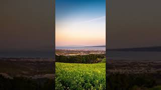 Kyushu, Japan 🎎【4K】#Shorts