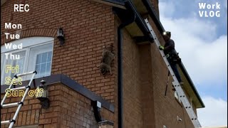 【功夫浣熊】Markham raccoon removal  万锦浣熊驱赶