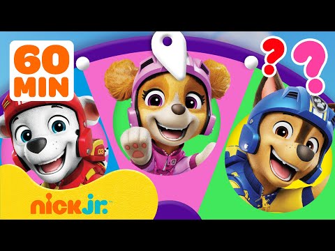 PAW Patrol Air Rescues Spin the Wheel w/ Skye! | Games For Kids | Nick Jr.