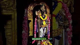 ஓம் முருகா 🙏🙏🙏#ommuruganthunai #ஓம்முருகாபோற்றி #devotional #முருகன்துணை #motivation #முருகாசரணம்
