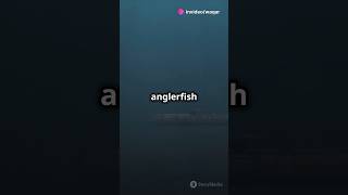 What is happening under the deep sea | Mystery of deep sea | #oarfish  #anglerfish