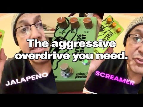 More Gain, More Tone! Jalapeño Screamer Verde Overdrive Demo 🎸⚡