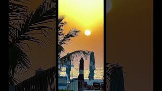 Sunsets & dreams  🌅 #sunset #view #wanderlust #adventure #uae #dream #vlogvideo #vlogging #nature