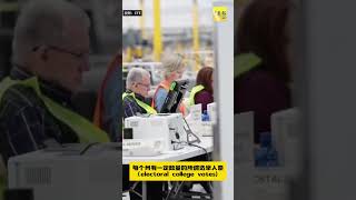 动新闻｜来！1分钟看懂美国总统大选