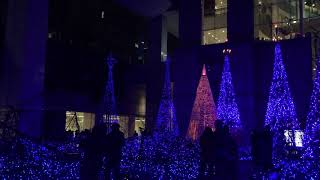 2016東京汐留聖誕燈光秀