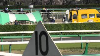2019.4.13 中山11R 中山グランドジャンプ（J・G1）