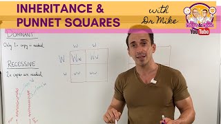 Inheritance and Punnett squares