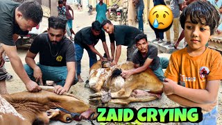ZAID EMOTIONAL HO GAYA 😭 | LAST DAY QURBANI 2025 | MISHKAT KHAN | USAMA PETS | CHOTA ZAID
