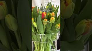 How to make your tulips last even longer!  #tulips #floraldesign #lifehacks #flowers #tuliptime