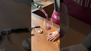 Decanting made easy: Vintorio Wine Aerator Pourer transforms wine in seconds