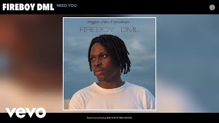 Fireboy DML - Need You (Audio)