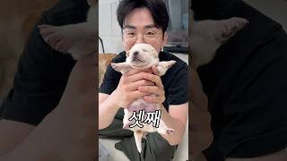 눈 떴어 ㅠㅠ #포캣멍센터 #유기견 #아기강아지