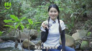 智養身心 (第16集) 排毒要訣 之 通便