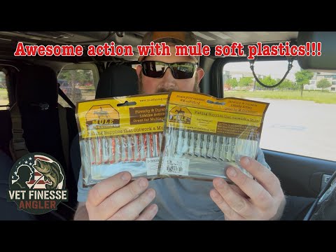 They Crushed It! Ultralight Pond Fishing with Mule Soft Plastics