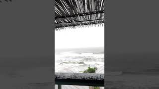 Cola Beach #colabeach  #southgoa #southgoabeaches #colabeach