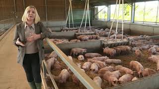 Carbon dioxide shortages are having dire consequences on food production | 5 News